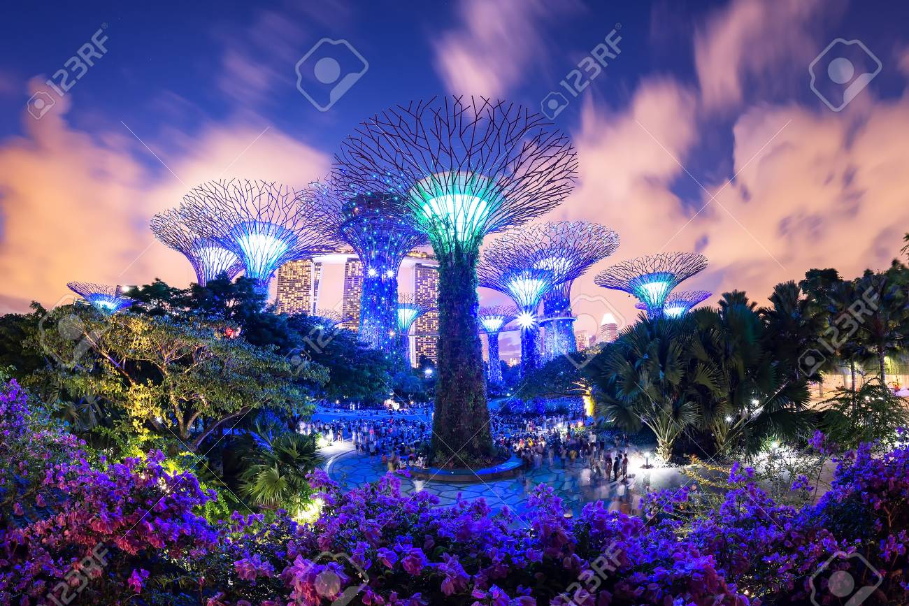 travel,Supertree garden at night, Garden by the Bay, Singapore,SINGAPORE,JULY..