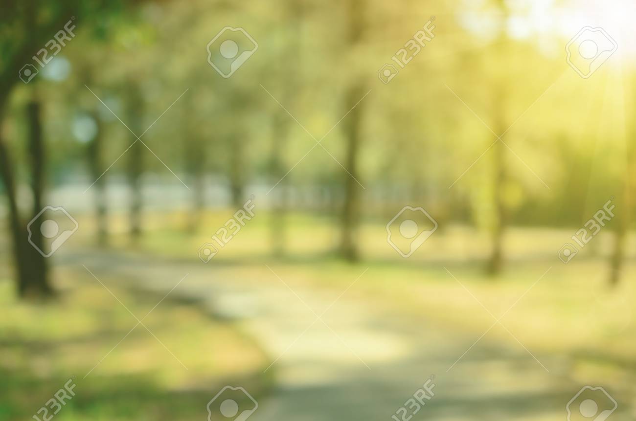 公園 背景 フリー Amrowebdesigners Com 公園 背景 フリー Amrowebdesigners Com
