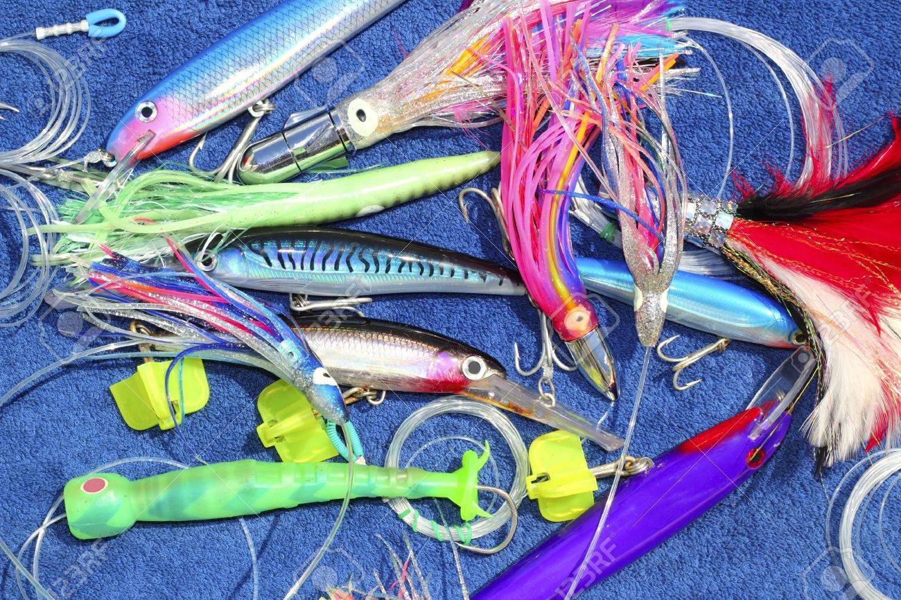 ocean fishing bait