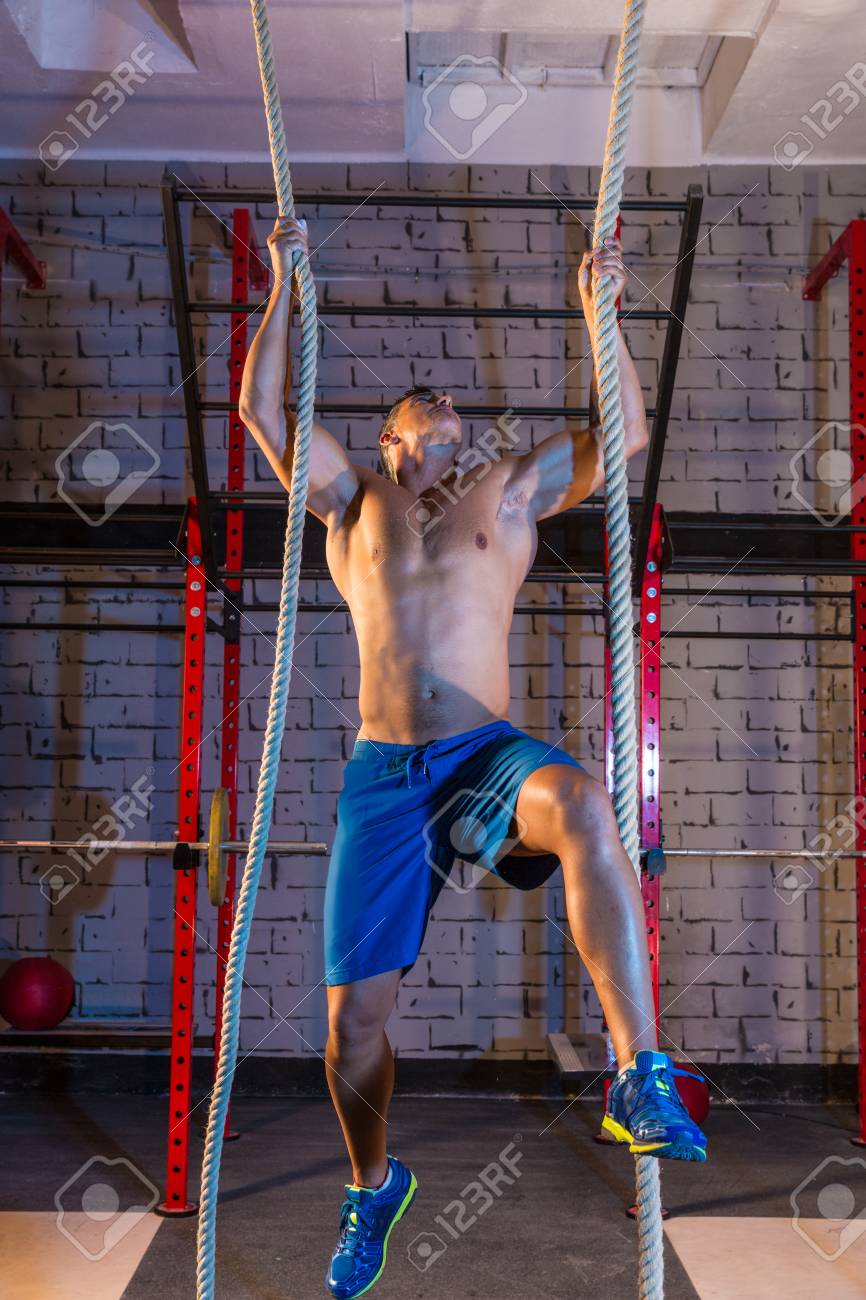 climb with two 2 ropes exercise man workout at gym stock photo