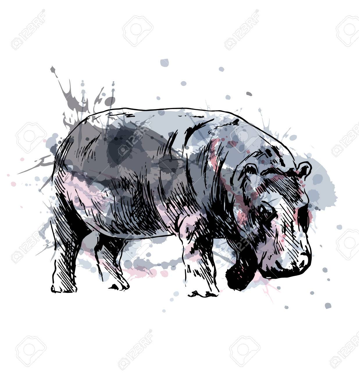 カバの描画色の手 ベクトル図 のイラスト素材 ベクタ Image