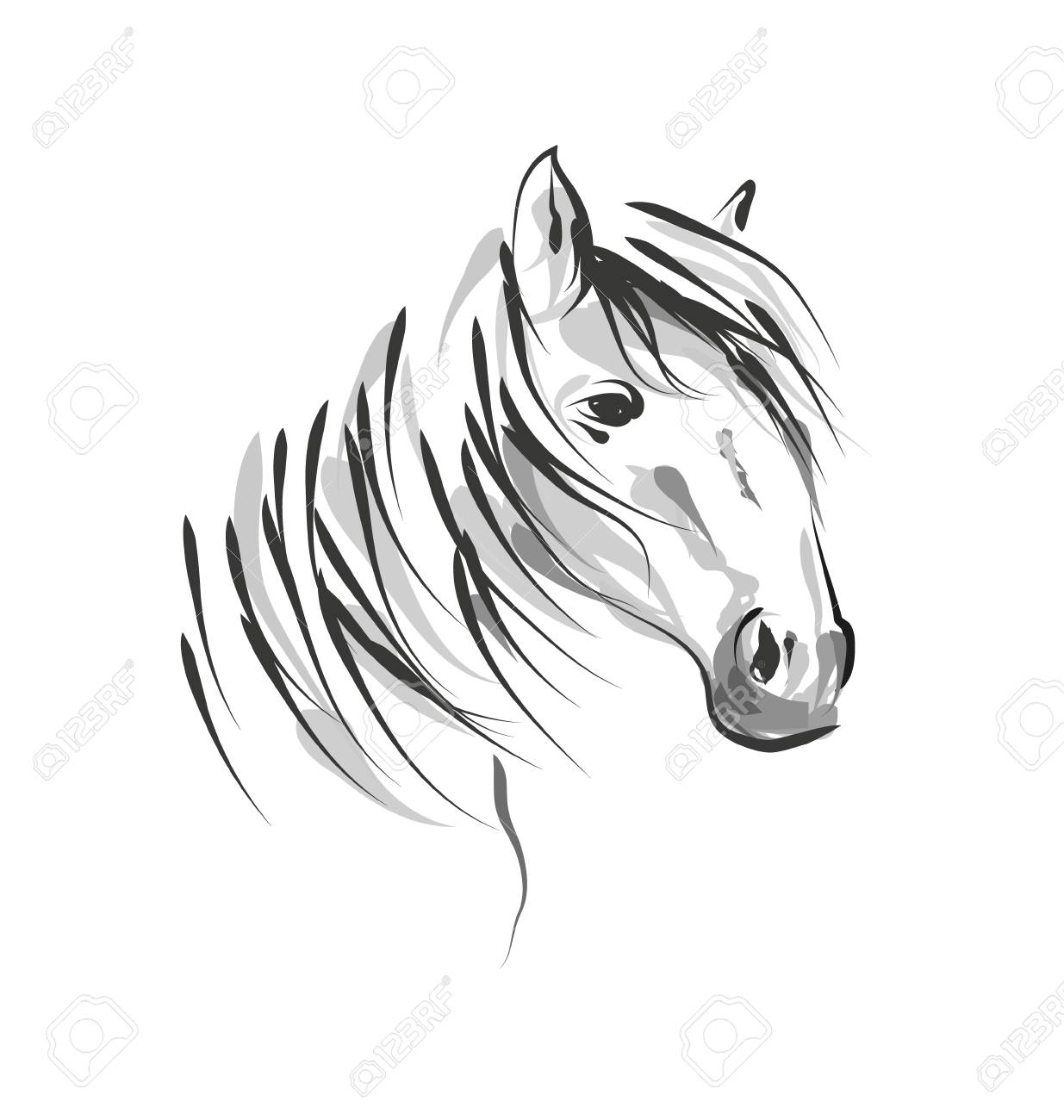 Vector Line Sketch Horse Head