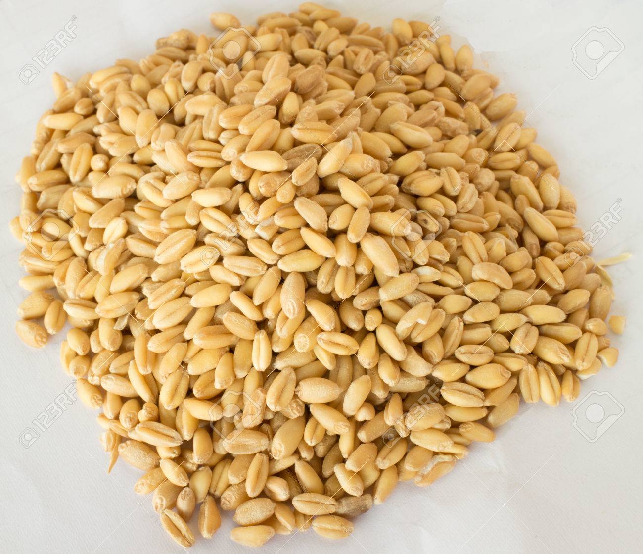 Germinated Brown Rice Or Gaba Rice Medicinal Properties Stock Photo Picture And Royalty Free Image Image 32150038