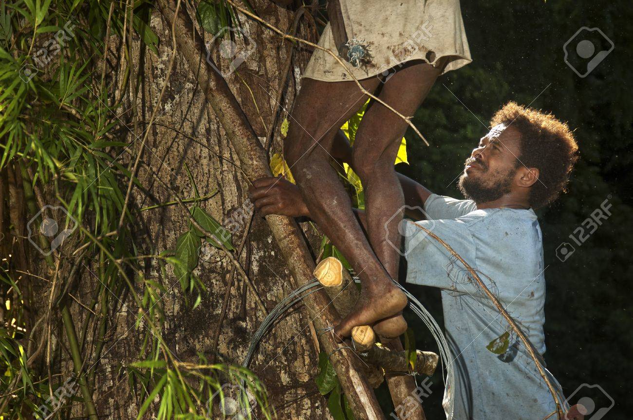 父と息子アグタ フィリピンのシエラマドレ山脈の森林森林での作業 の写真素材 画像素材 Image