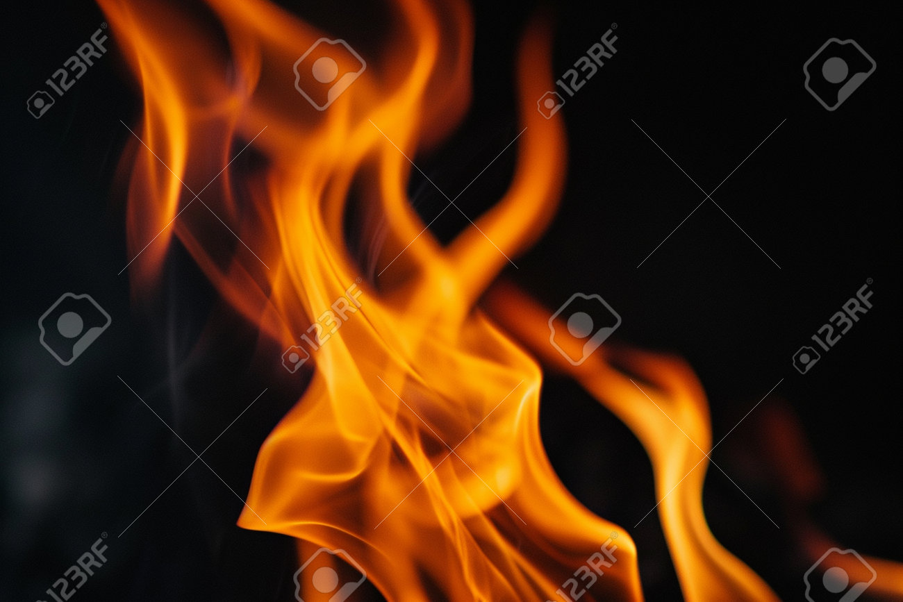 etiam-dictum-ipsum-a-felis