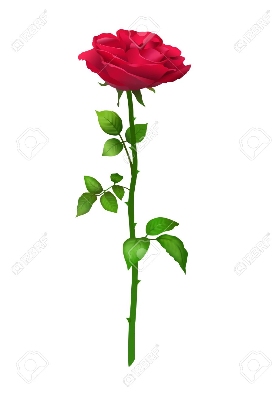 burgundy and white background