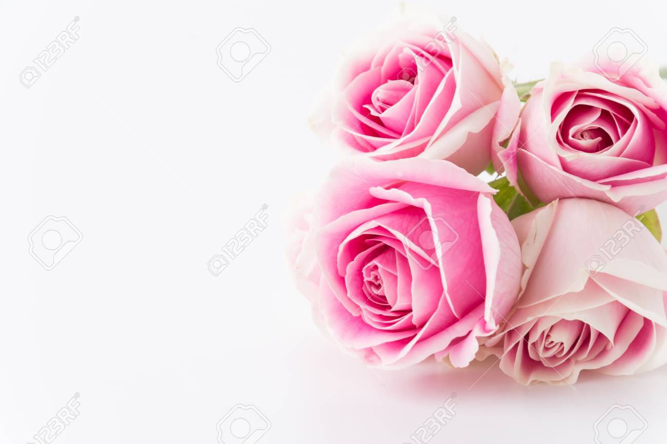 White And Pink Rose Bouquet On White Background Stock Photo Picture And Royalty Free Image Image