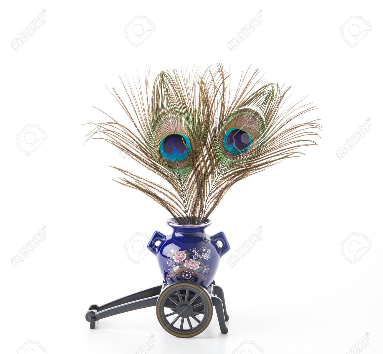 Beautiful Exotic Peacock Feathers In Vase Stock Photo Picture And