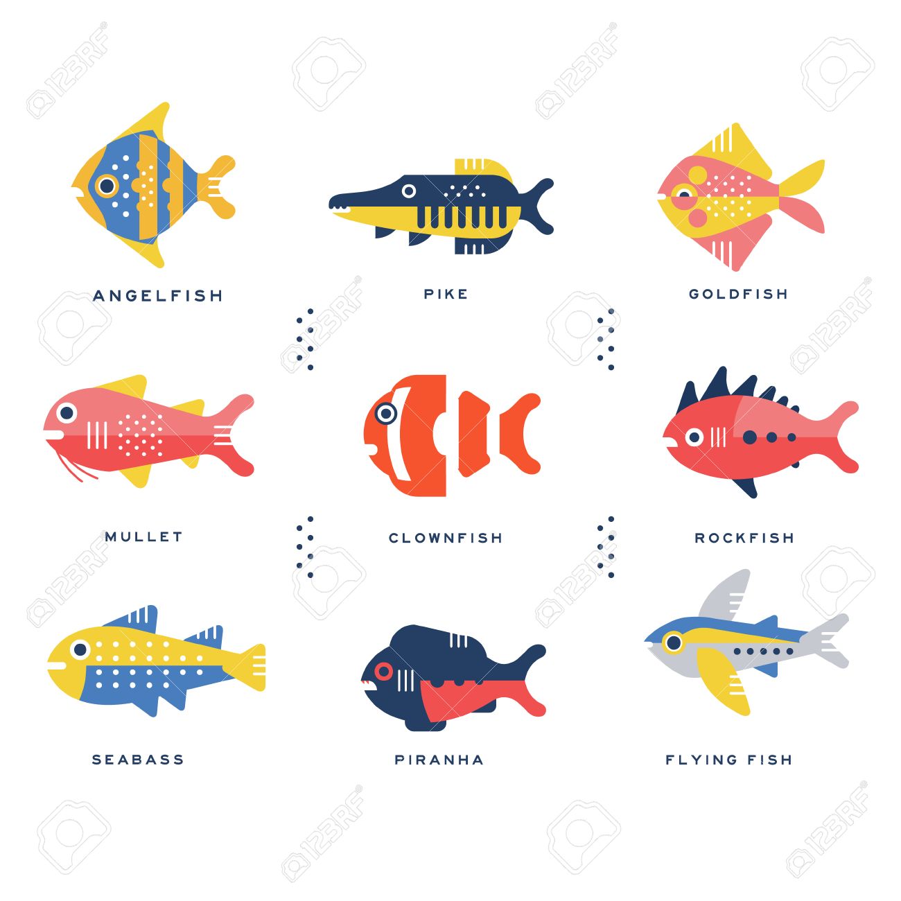 英語のベクトル イラストの海のと洋の魚とレタリング名のコレクションのイラスト素材 ベクタ Image