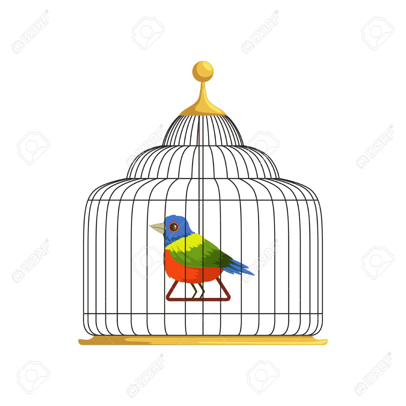 Bunter Tropischer Vogel Der Auf Dreieckschwingen Im Antiken Hangenden Kafig Sitzt Heimat Der Federkreation Flaches Vektordesign Fur Infographic Website Oder Plakat Lizenzfrei Nutzbare Vektorgrafiken Clip Arts Illustrationen Image