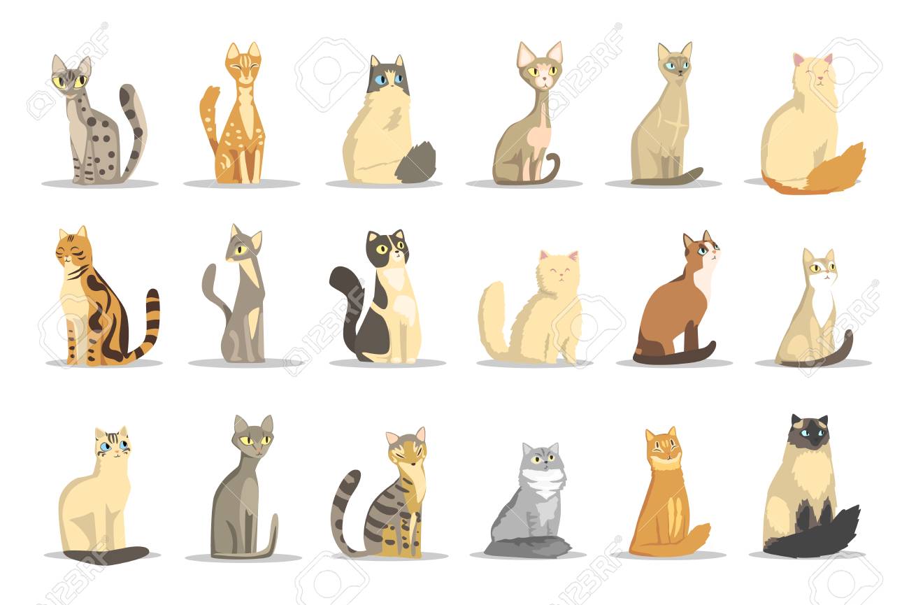Cat different breeds set, cute pet animal vector Illustrations on a white background - 107638474 Cat different breeds set, cute pet animal vector Illustrations on a white background - 107638474