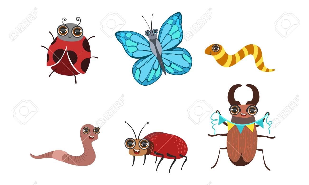 Collection Of Cute Funny Cartoon Insects Set Caterpillar Butterfly Royalty Free Cliparts Vectors And Stock Illustration Image 129711303