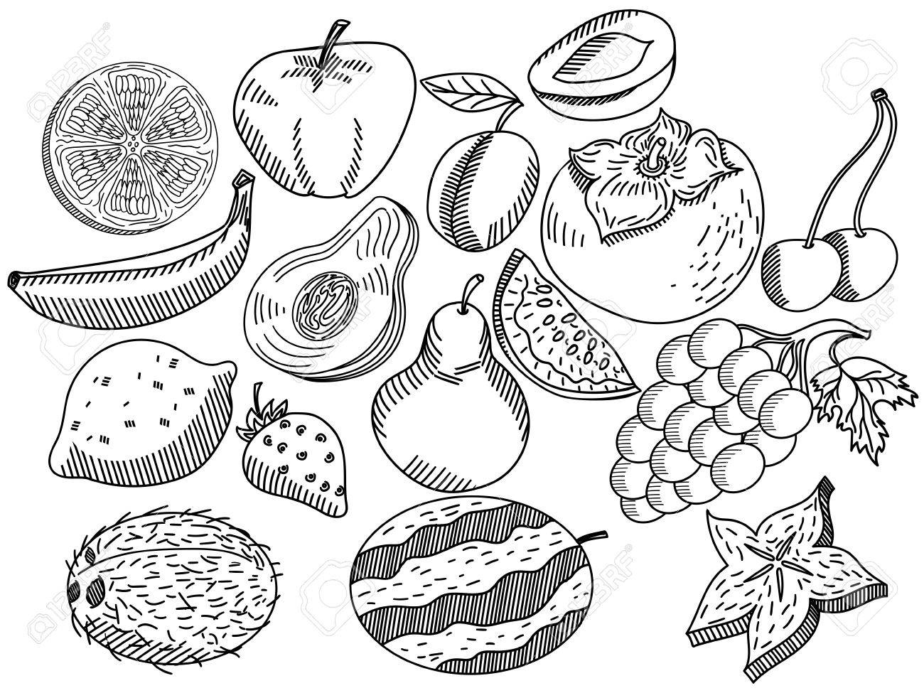 4000 Fruits For Coloring Book Free Images 4000 Fruits For Coloring Book Free Images