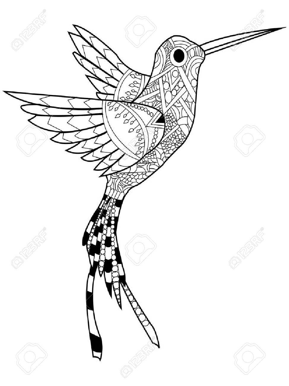 Hummingbird Coloring Book For Adults Vector Illustration. Anti ... Hummingbird Coloring Book For Adults Vector Illustration. Anti ...