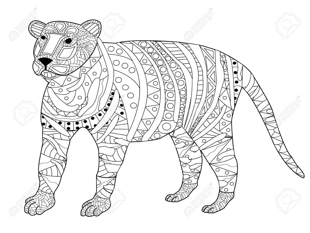 libro para colorear tigre para la ilustración vectorial adultos