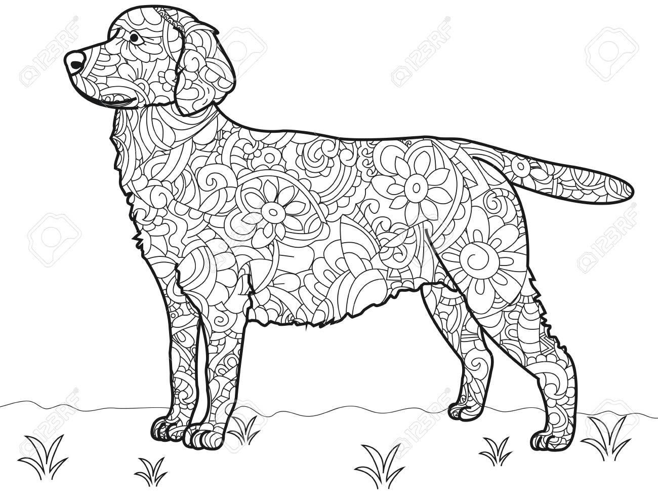 Dog Labrador Antistress Coloring Book. Vector Royalty Free ...