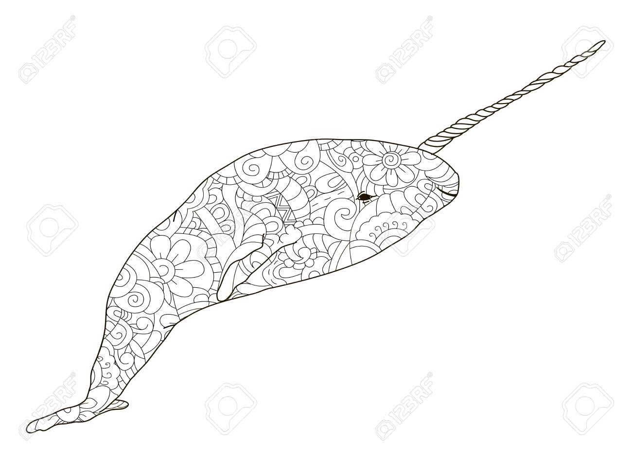 Narwhal Coloring Antistress, Drawings Black Lines And White - Narwhal Coloring Antistress, Drawings Black Lines And White