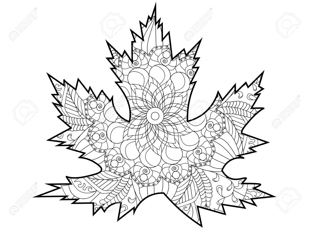 Leaf Of A Tree Maple Coloring Page Colorless And Color Samples Royalty Free Cliparts Vectors And Stock Illustration Image 129199920