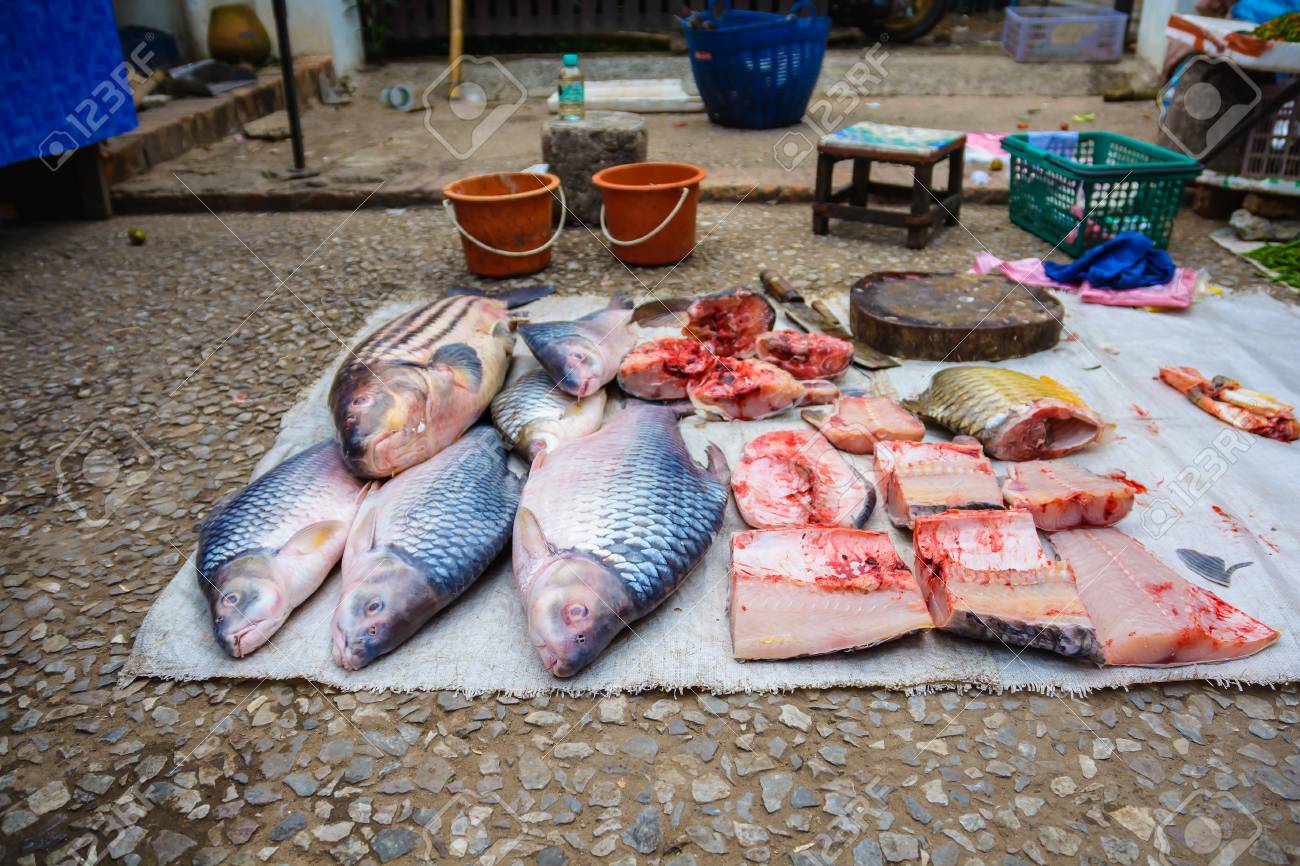 Fresh Fish From Mekong River At Street Market, Luang Prabang ...