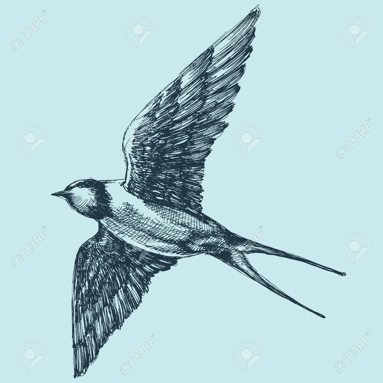詳細な手描きの飛行中のツバメします のイラスト素材 ベクタ Image