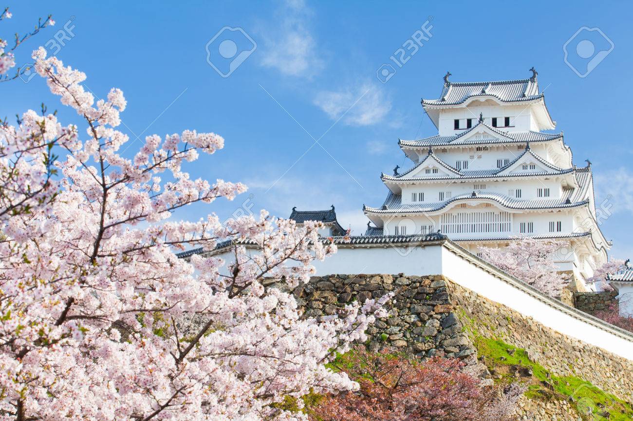 Japan Himeji castle , White Heron Castle in beautiful sakura cherry blossom season - 83932403 Japan Himeji castle , White Heron Castle in beautiful sakura cherry blossom season - 83932403