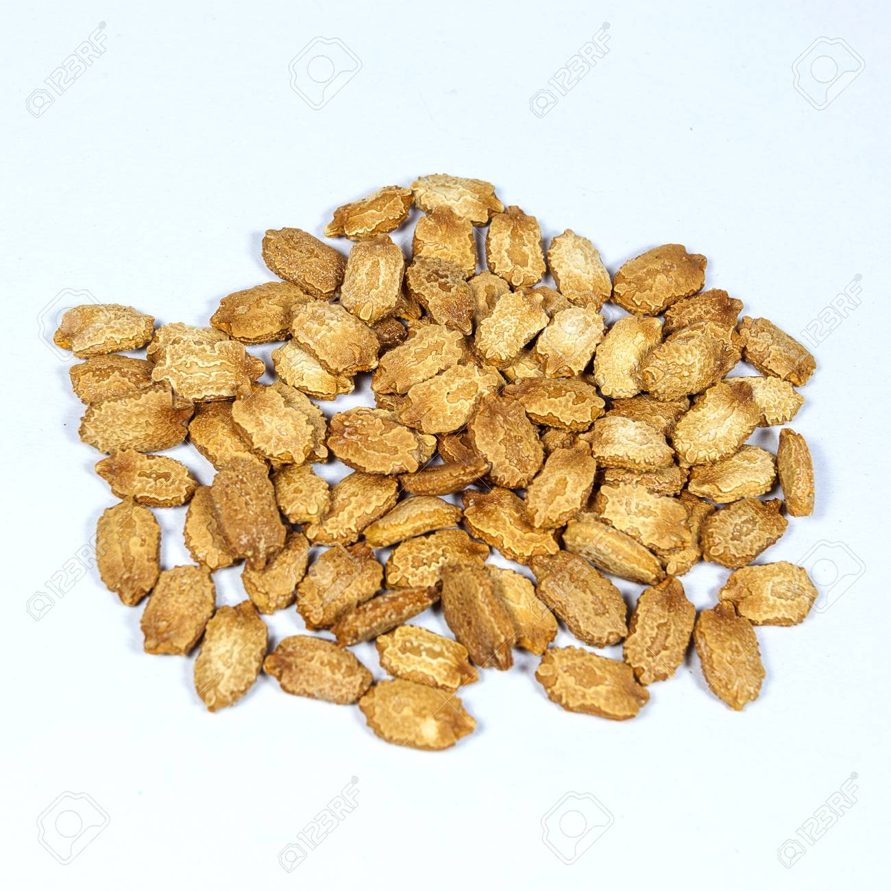 Bitter Seed
