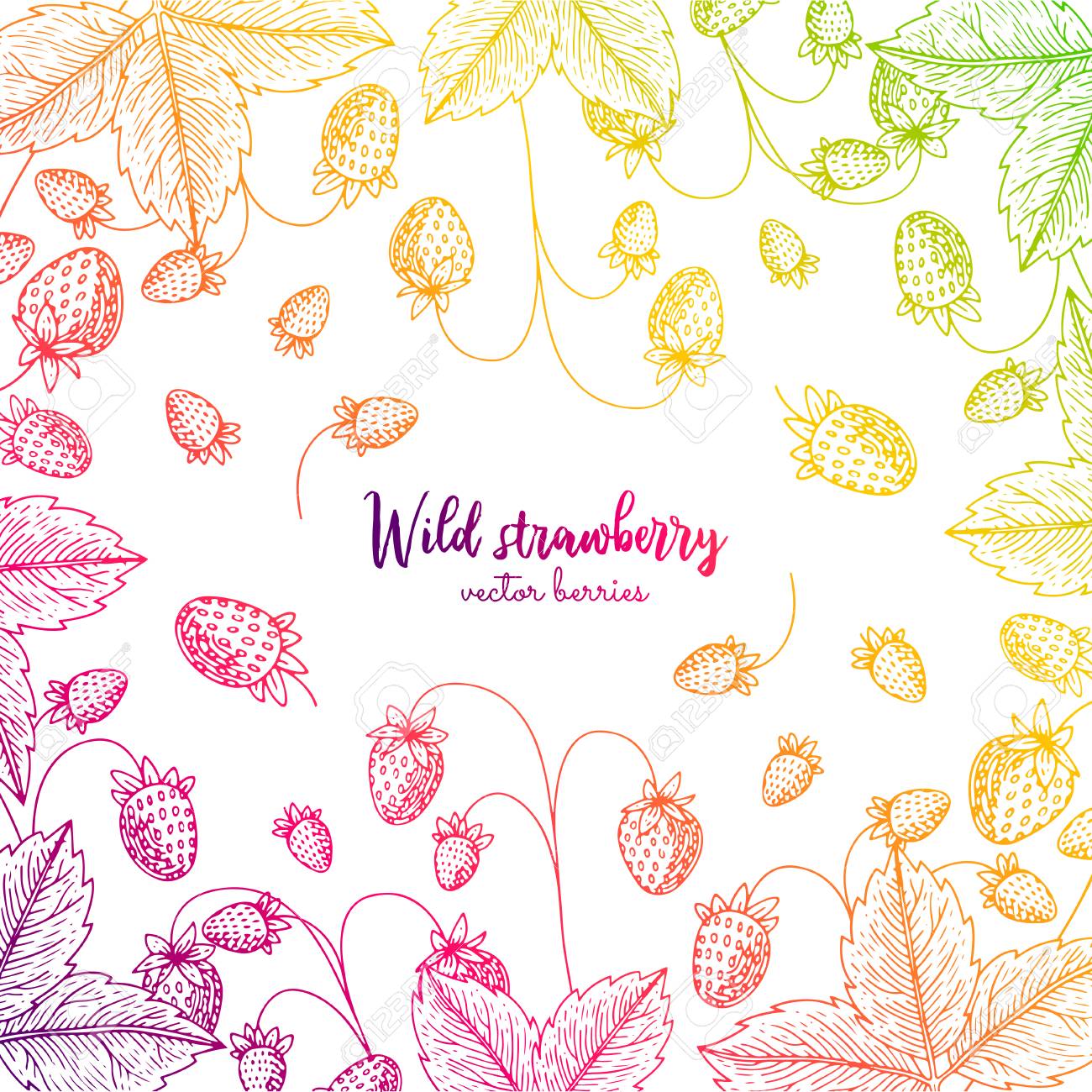 Colorful Vector Frame With Wild Strawberry Healthy Food Design