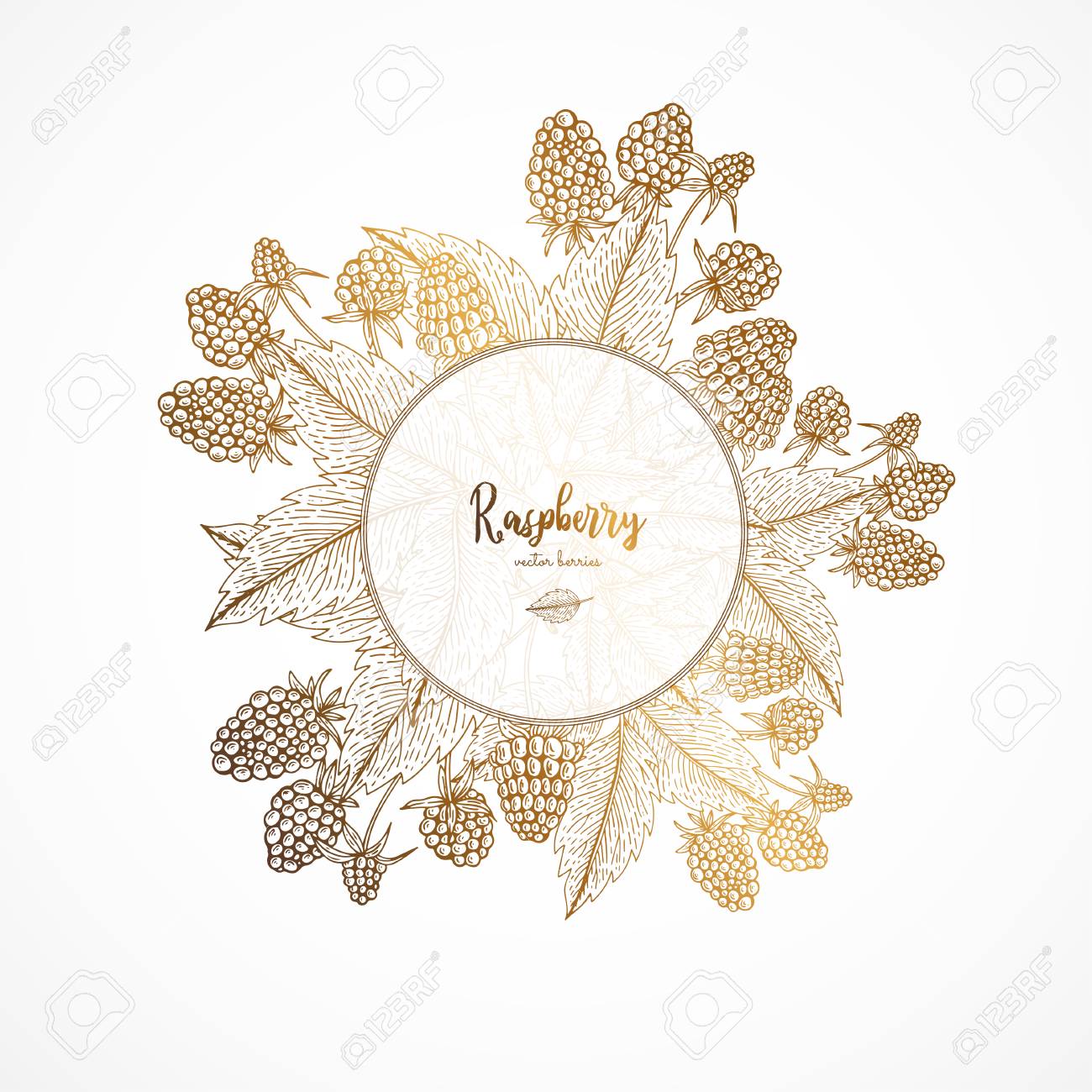 Go Style Template | Gold Vintage Illustration With Raspberry Engraved Style Healthy Go Style Template | Gold Vintage Illustration With Raspberry Engraved Style Healthy