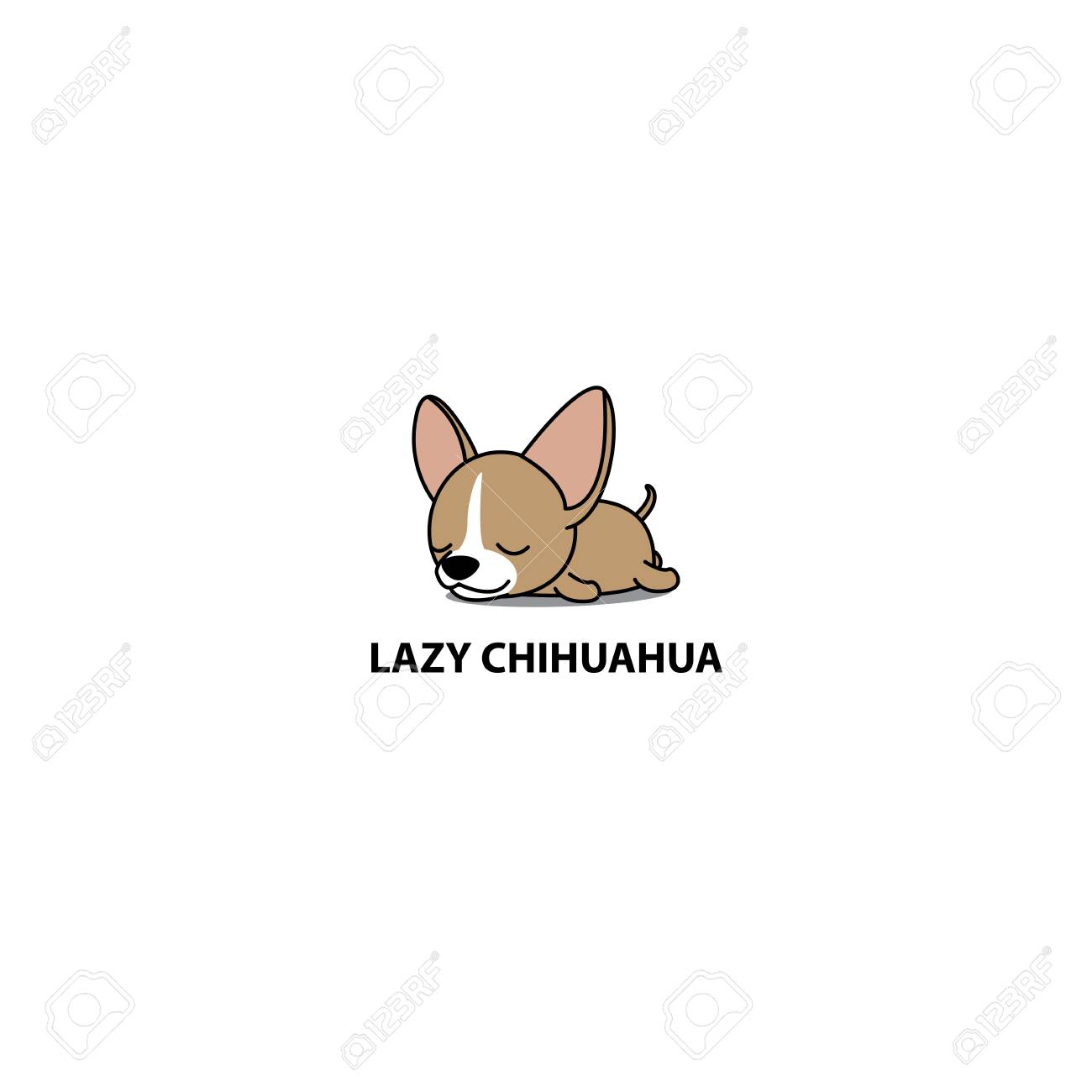chihuahua lazy