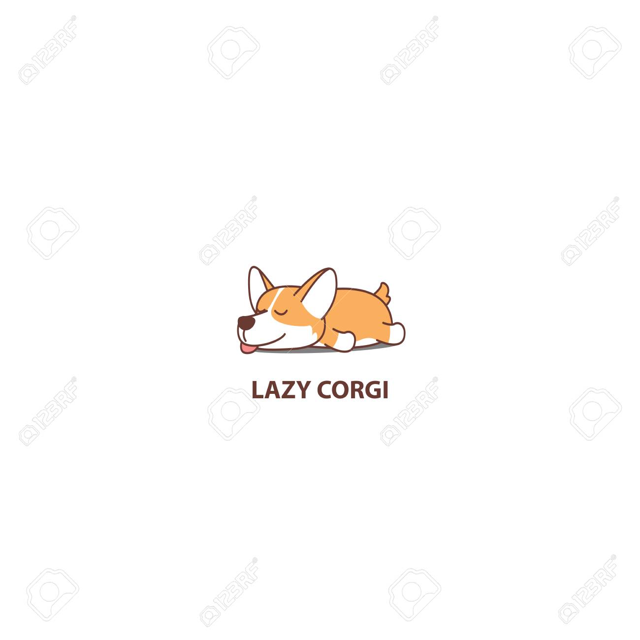 lazy corgi