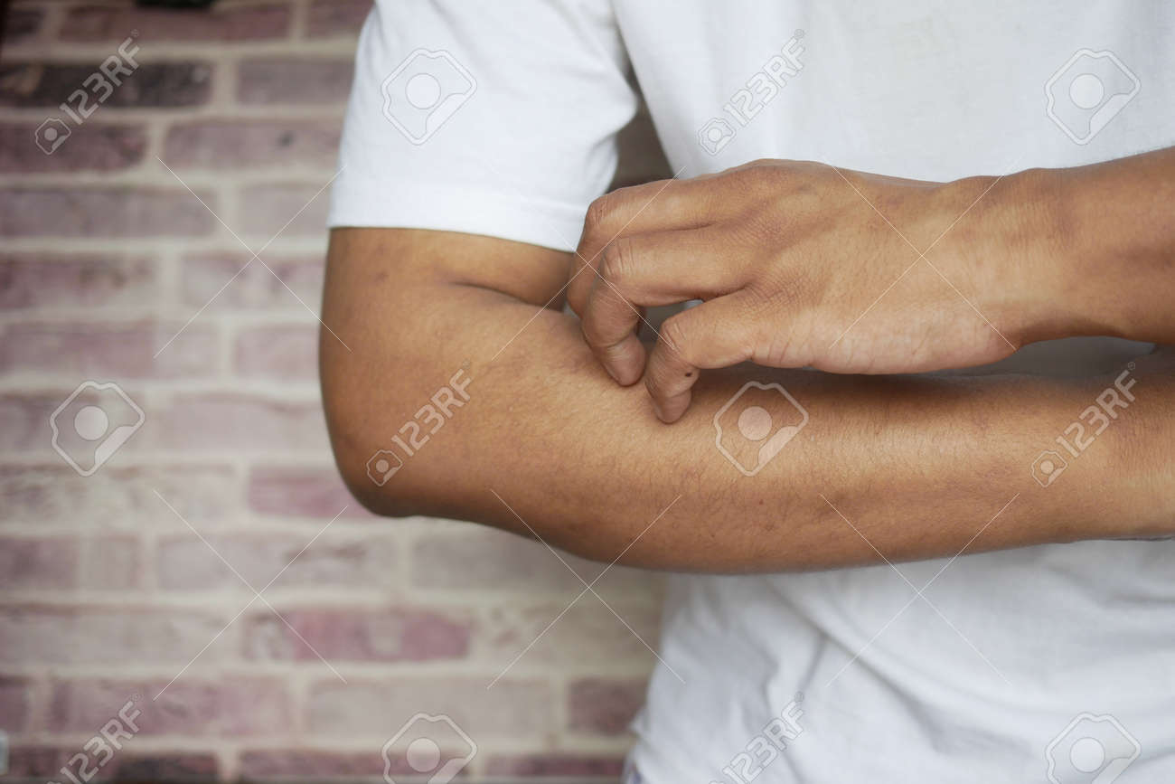 etiam-dictum-ipsum-a-felis