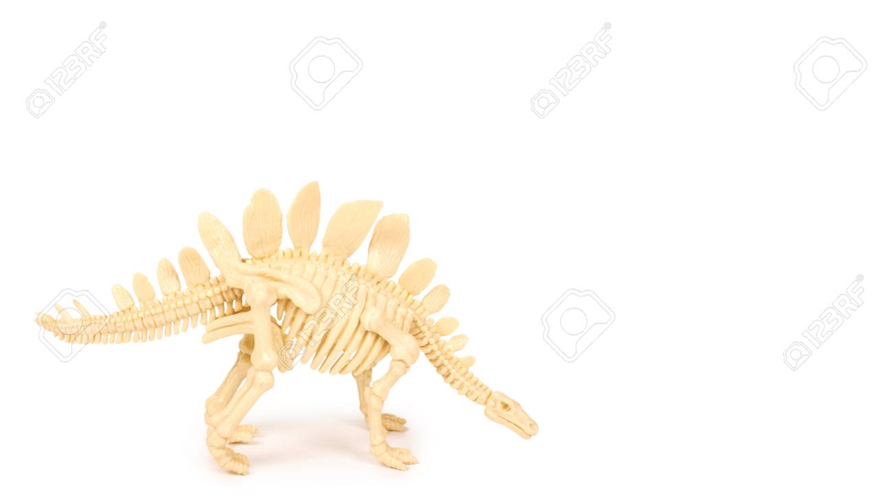 plastic toy animal dinosaur skeleton isolated on white background