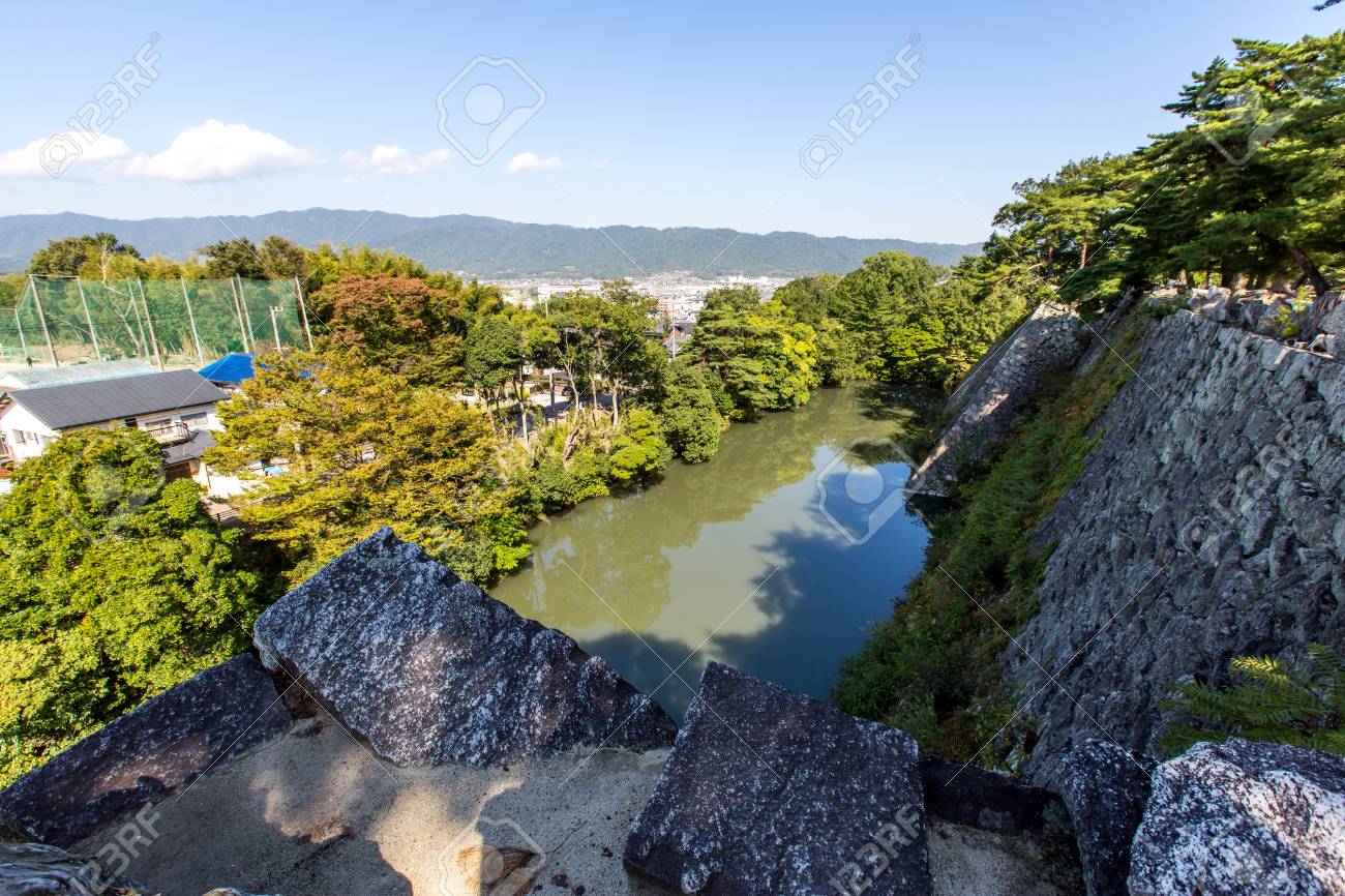 etiam-dictum-ipsum-a-felis