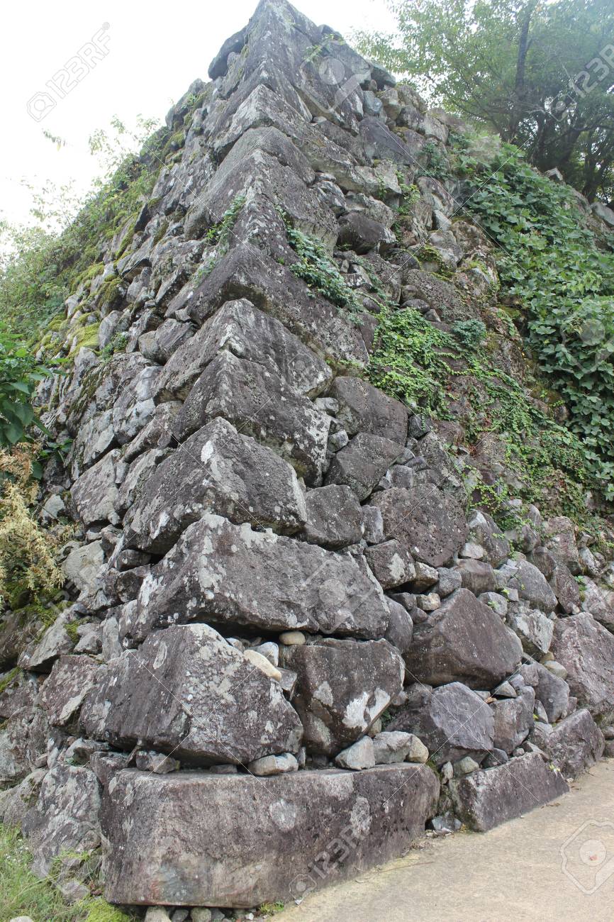 etiam-dictum-ipsum-a-felis