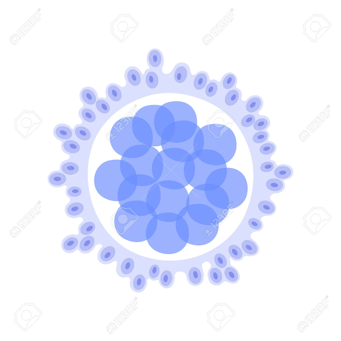 etiam-dictum-ipsum-a-felis