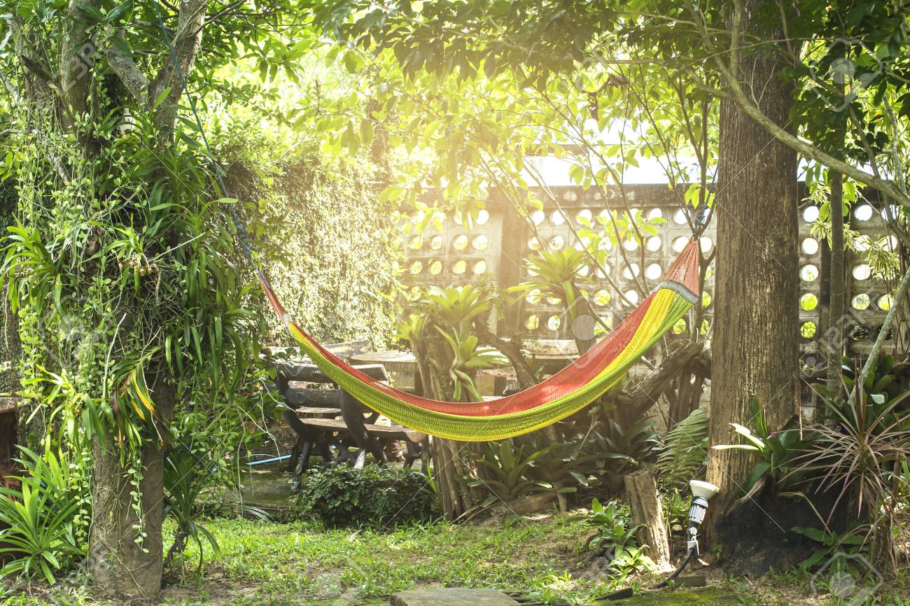 自宅の庭でハンモック の写真素材 画像素材 Image