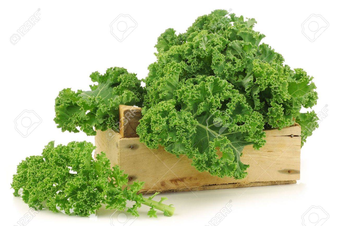 freshly harvested kale cabbage in a wooden crate on a white background - 15463047 freshly harvested kale cabbage in a wooden crate on a white background - 15463047
