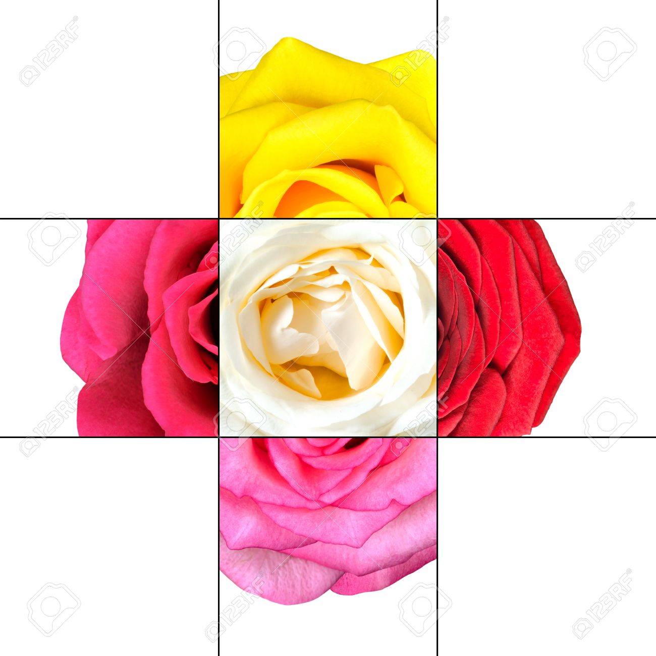 colorful rose flower mosaic design which is consisting of 9 squares
