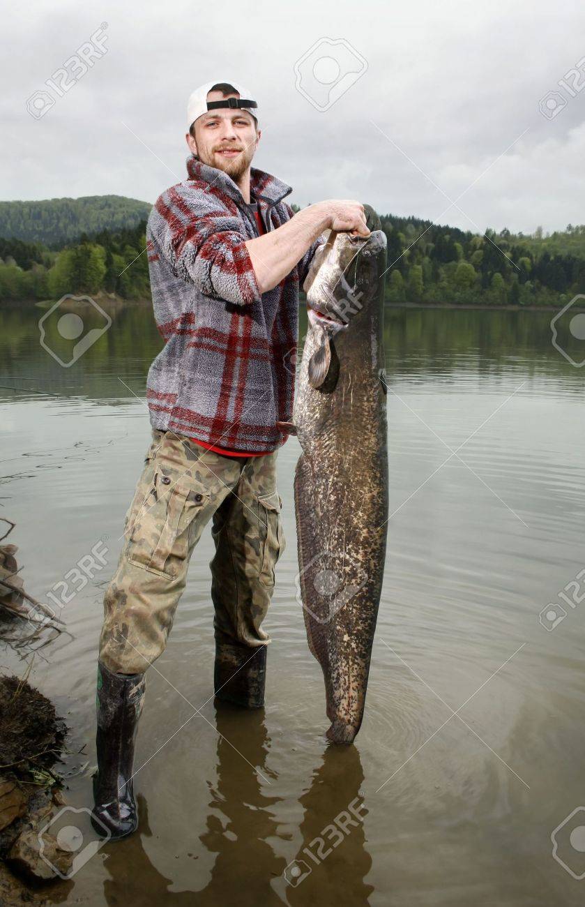 Un Pêcheur Heureux Présentant Son Trophée De La Pêche Capturés Dans Un Lac Polonais Poisson Chat Silurus Glanis