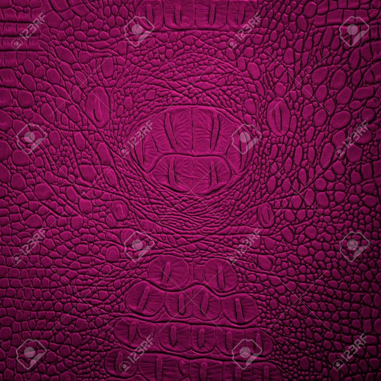 ピンクのワニ革 の写真素材 画像素材 Image