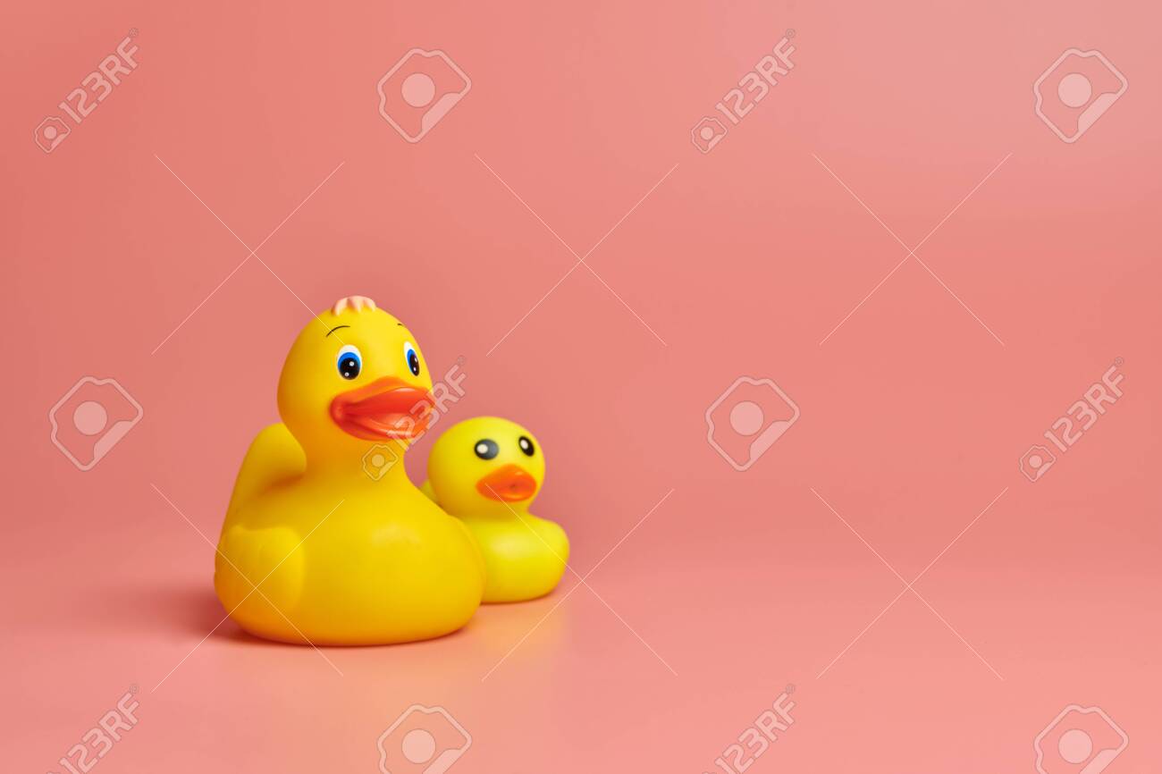 ducks toys