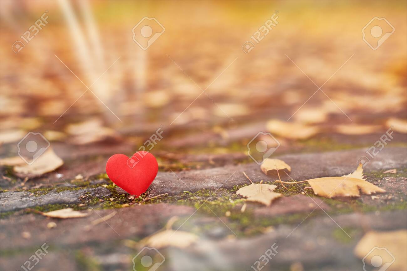 One Heart On Autumn Path Unrequited One Sided Love Or Loneliness Stock Photo Picture And Royalty Free Image Image