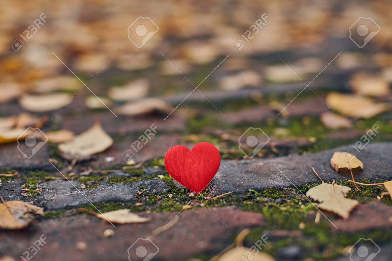 One Heart On Autumn Path Unrequited One Sided Love Or Loneliness Stock Photo Picture And Royalty Free Image Image