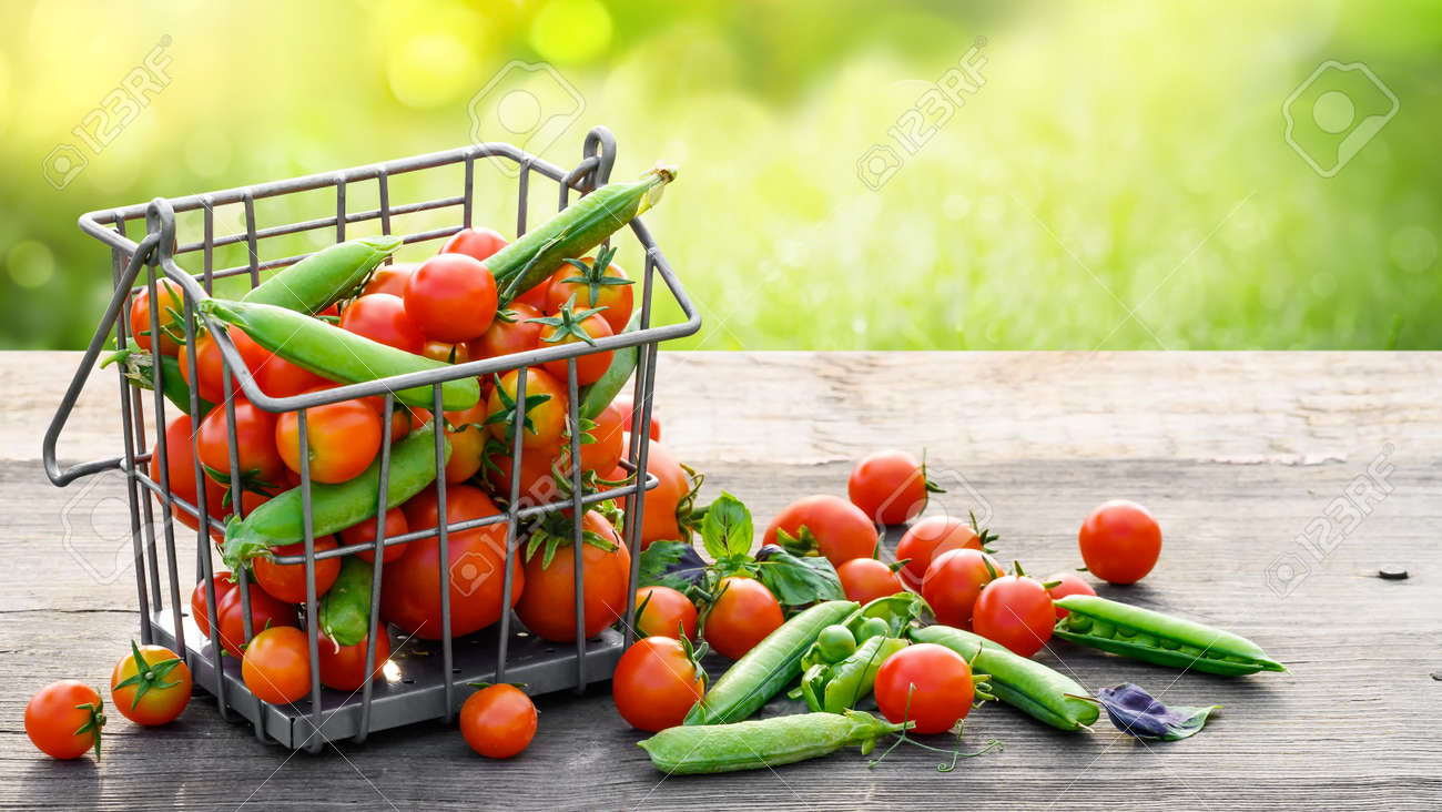 Tomatoes and green peas in metal basket on wooden rusrik table - 172450698 Tomatoes and green peas in metal basket on wooden rusrik table - 172450698