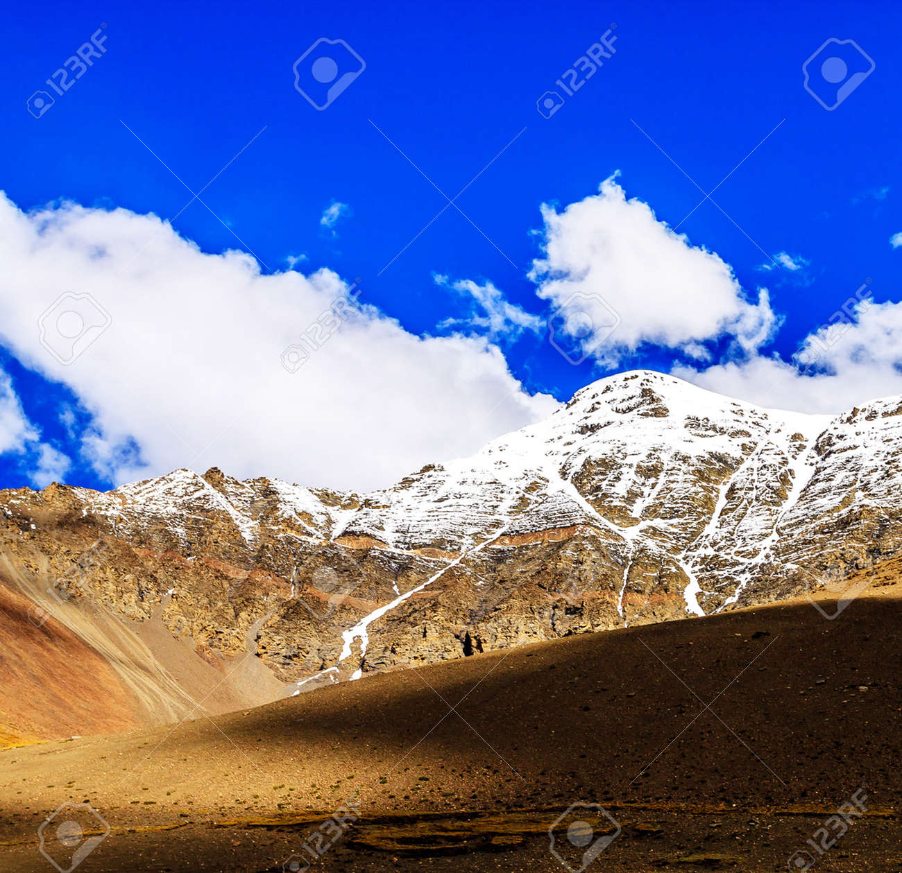 etiam-dictum-ipsum-a-felis