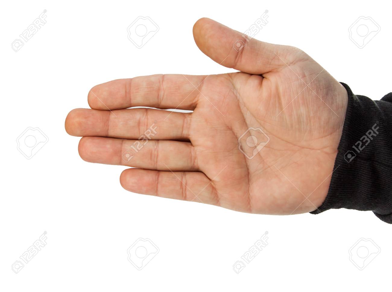 etiam-dictum-ipsum-a-felis