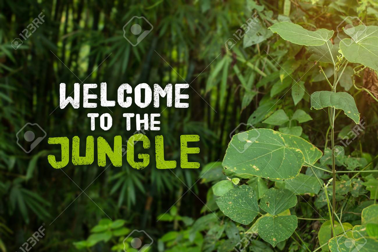 Stadtdschungel Konzept Konkurrenz Und Kaltherzige Konkurrenten Machen Einen Stadtischen Dschungel Aus Den Strassen Der Stadt Wo Die Kampfe Durchgeschnitten Und Heftig Sind Unversohnliche Feinde Lizenzfreie Fotos Bilder Und Stock Fotografie Image