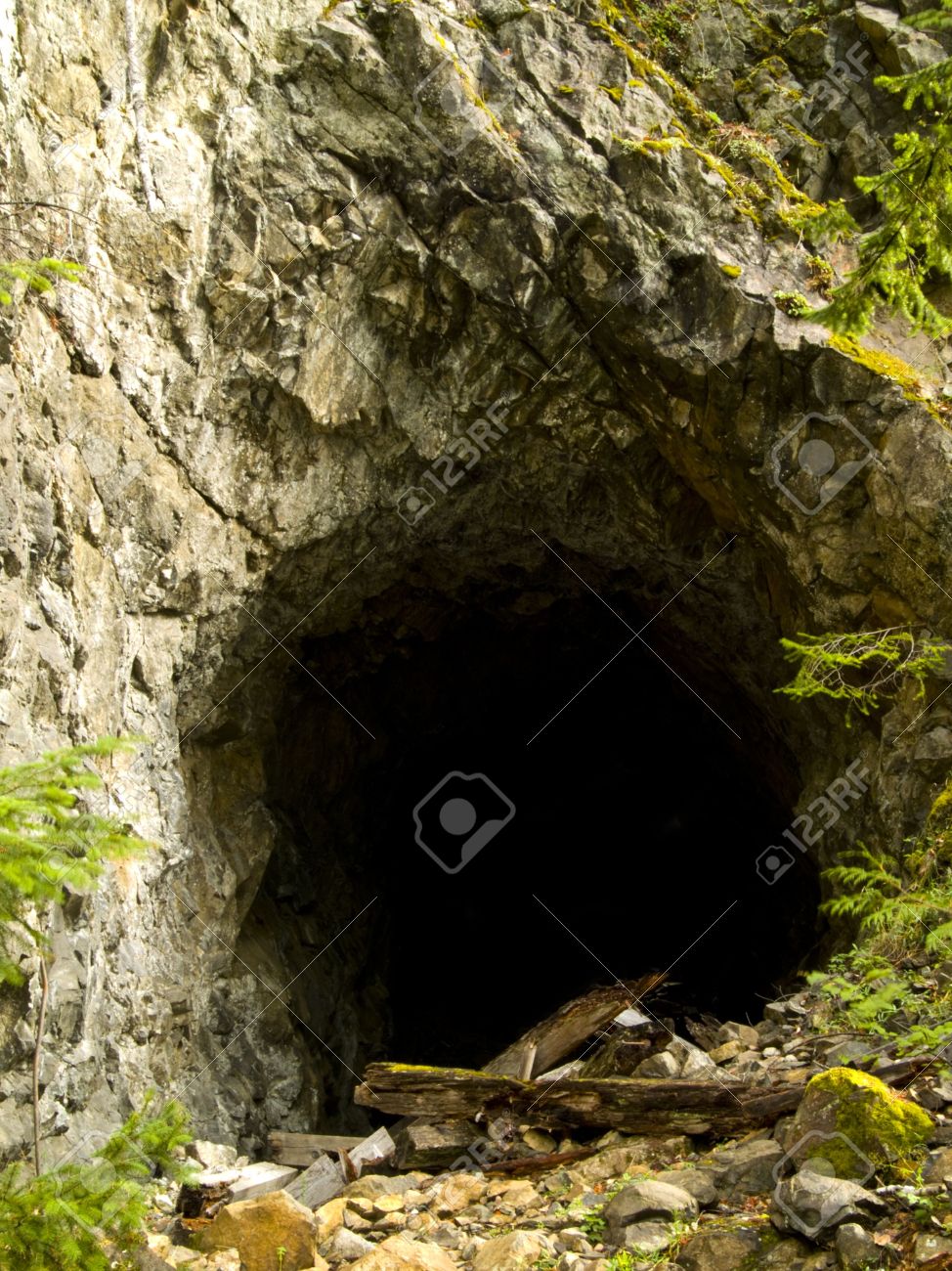 太平洋岸北西部で大規模な洞窟への入り口 の写真素材 画像素材 Image