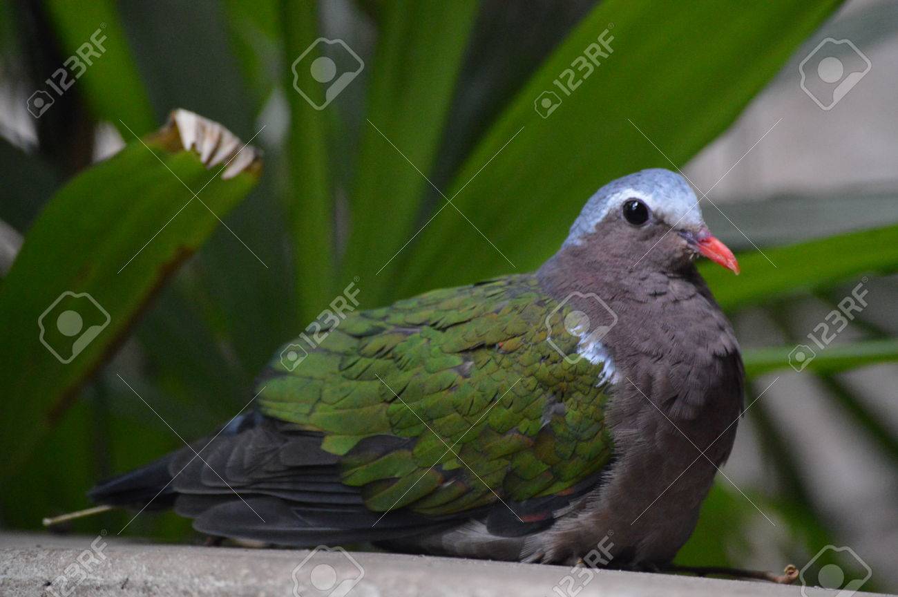 etiam-dictum-ipsum-a-felis