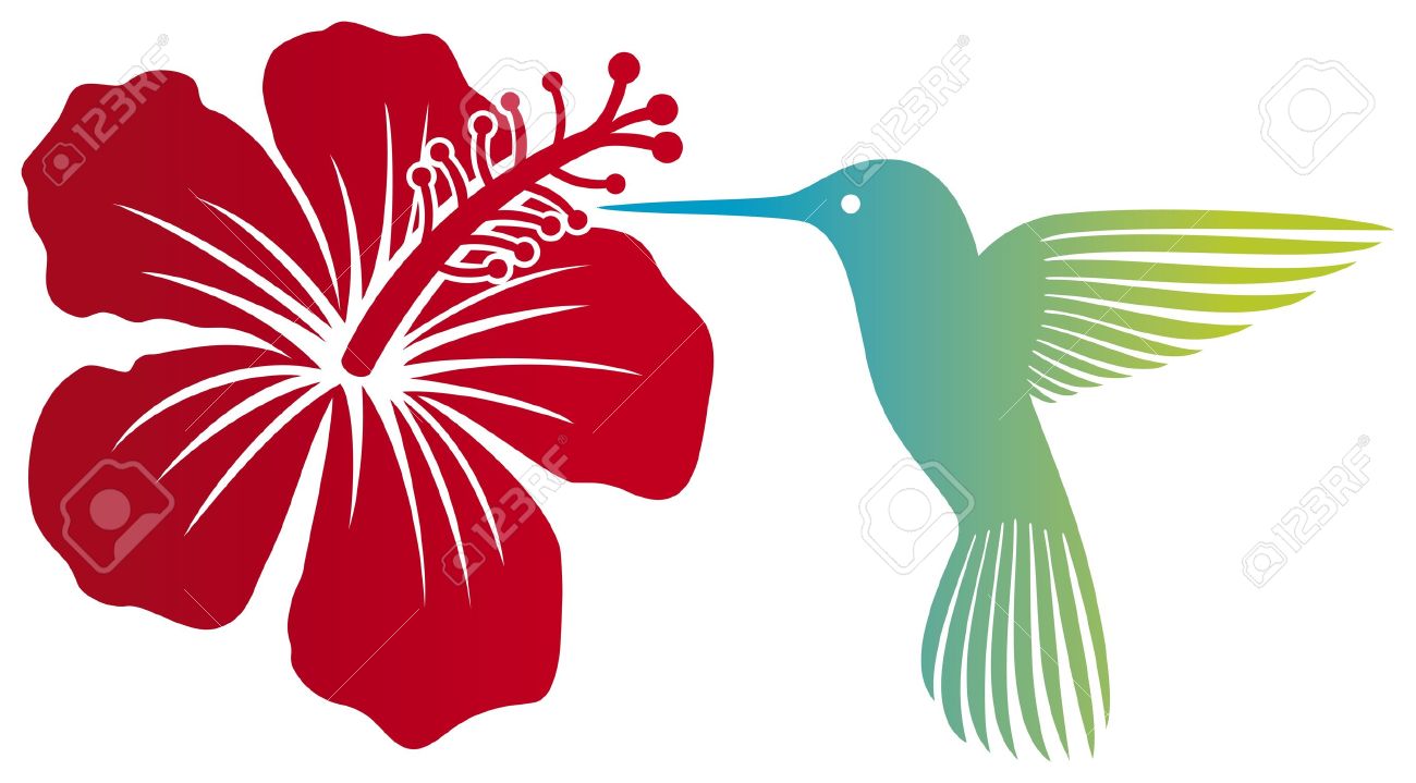 Colibrí | dibujos para colorear para imprimir gratis, image size:1300x719
